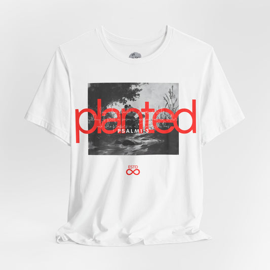 "Planted" Christian Unisex T-Shirt | Psalm 1:3 | Panda by the Stream Graphic | Faith-Based Scripture Apparel