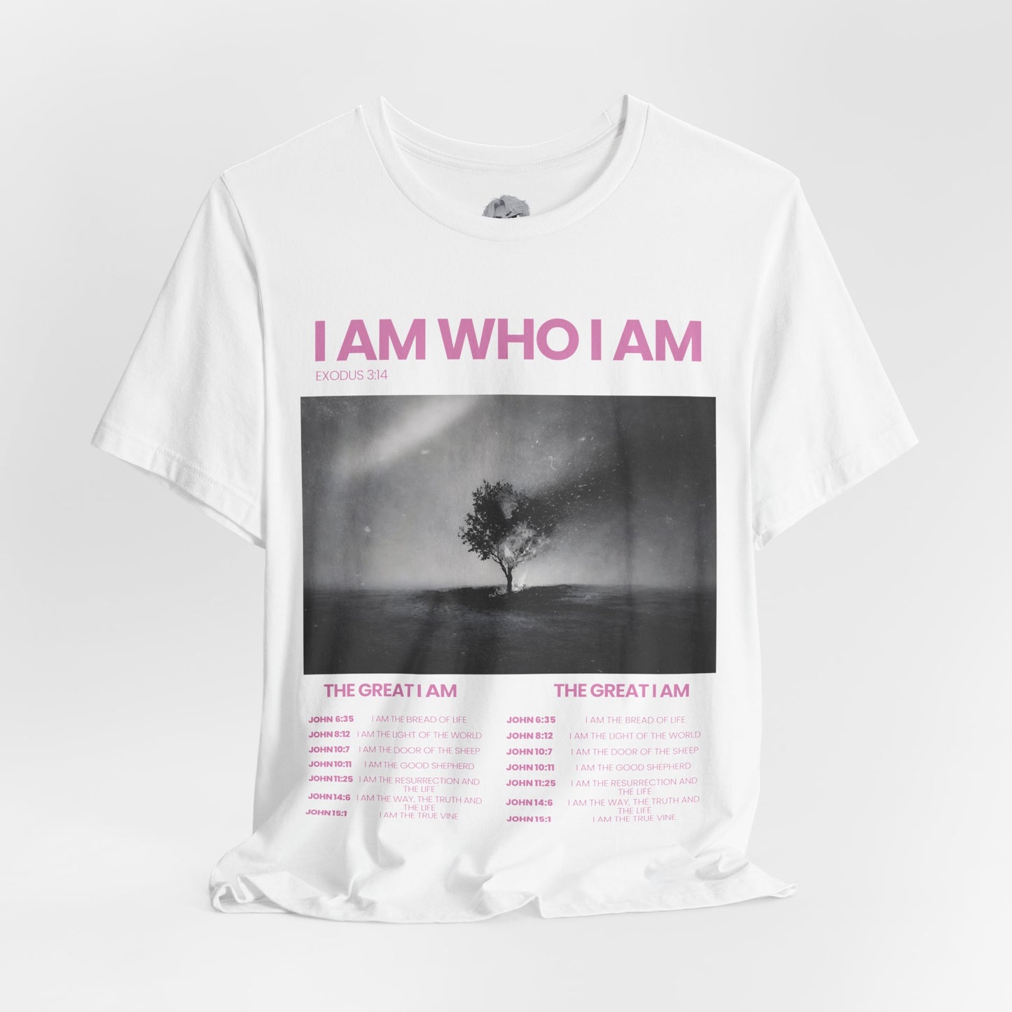 "The Great I AM" Christian Unisex Jersey T-Shirt | Seven I AM Statements of Jesus | Exodus 3:14 | John 8:58 | Burning Bush Faith Apparel