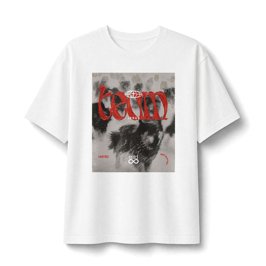 "Team Jesus" Christian Unisex Heavyweight T-Shirt | 12 Apostles Graphic | United in Faith | Bold Christian Streetwear