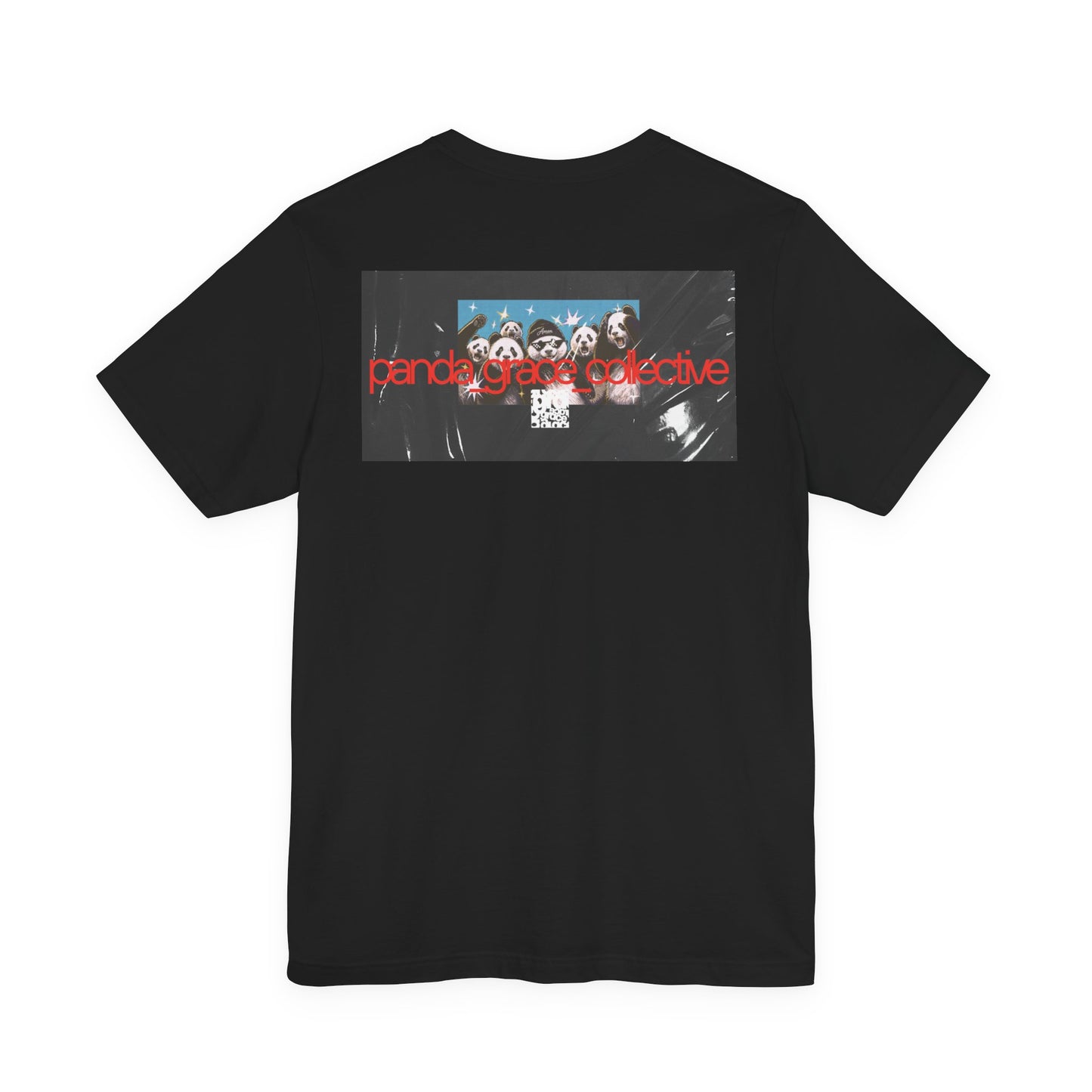 Unisex Christian T-Shirt | Proverbs 18:2 T-Shirt | Panda Graphic Tee